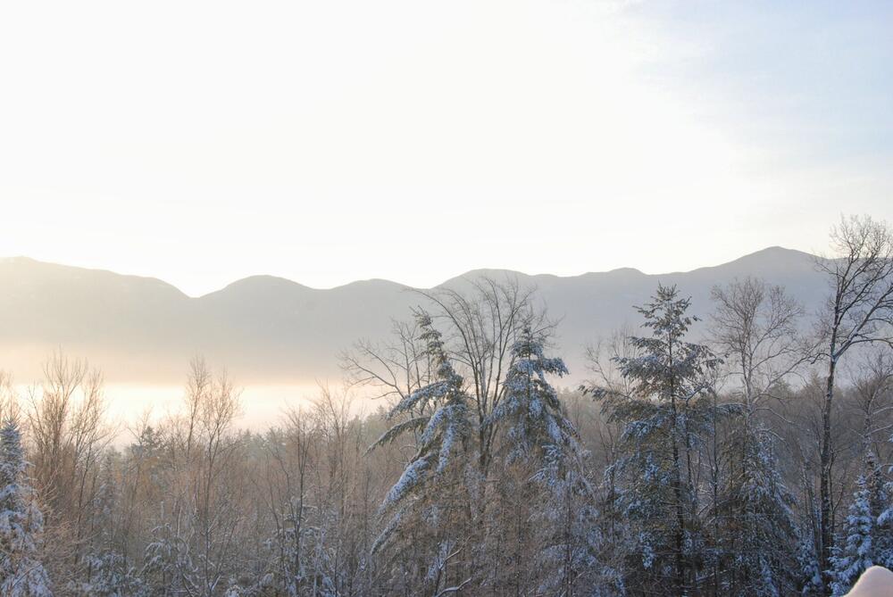Winter scene with snow-covered pine trees in the foreground and mist and mountains in the background